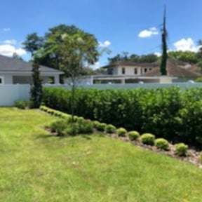 Bush Trimming by H &amp; S Lawn Service. reviewed on August 15, 2025