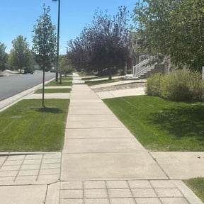 landscape maintenance by Elevated Yards reviewed on August 18, 2025