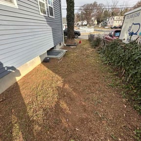 Leaf Removal by Tonys Landscaping LLC reviewed on August 16, 2025