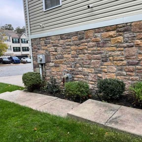 Bush Trimming by Spinelli Scenery Solutions LLC. reviewed on January 7, 2026