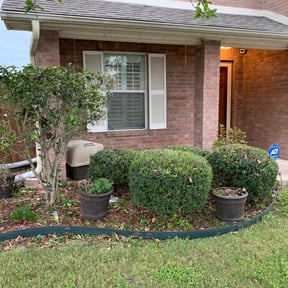 Bush Trimming by Blossom Lawn Care reviewed on August 15, 2025