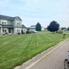 gardening service by Caesar’s Premier Landscaping reviewed on November 22, 2025