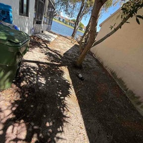 Leaf Removal by Parker Landscape &amp; Maintenance reviewed on August 29, 2026