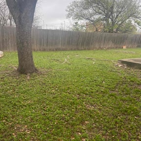 Leaf Removal by Johnson Family Lawn Service reviewed on August 16, 2025