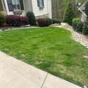 yard service by Deanscapes reviewed on November 23, 2025