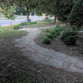 Leaf Removal by ATM reviewed on June 11, 2026