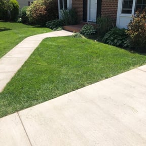 Long Grass Cleanup by RTH Lawn Service & Landscaping LLC reviewed on August 13, 2025