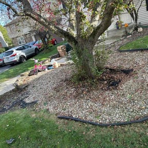Flower Bed Weeding by STREET ROBINSON OPERATIONS MANAGEMENT reviewed on November 9, 2025