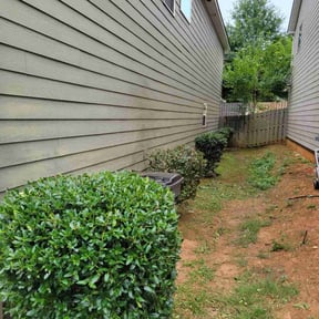Bush Trimming by ATS Enterprise reviewed on August 15, 2025