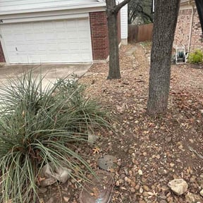 Leaf Removal by The Swole Life Corporation  dba Swole &amp; Bold Lawn Grooming reviewed on March 21, 2026