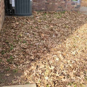 Leaf Removal by JG Main Landscaping LLC reviewed on August 1, 2026