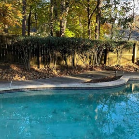 Bush Trimming by The Culture Biz LLC reviewed on November 27, 2025