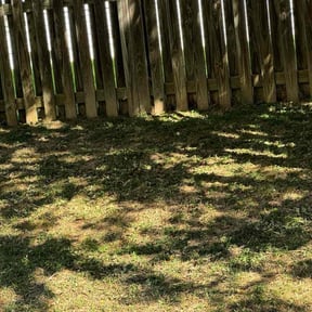 Leaf Removal by Big Tex Distributions Llc. reviewed on August 18, 2025