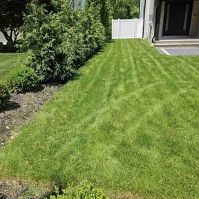 gardening service by Pristine touch/landscaping reviewed on August 17, 2025