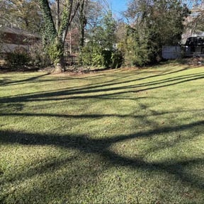 Leaf Removal by People's Pride Property Maintenance reviewed on December 14, 2025