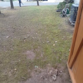 Leaf Removal by PNC Delivery Express reviewed on August 5, 2023