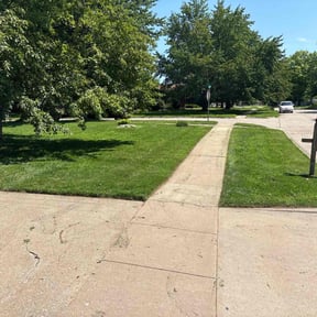 yard care by Ravens Vue reviewed on November 22, 2025