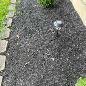 Flower Bed Weeding by Premier Property Solutions reviewed on August 28, 2026