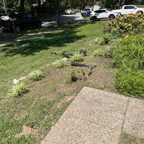 Flower Bed Weeding by Lawn and Labor Services reviewed on December 18, 2025