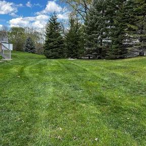 lawn service by Affirmative Property Maintenance LLC reviewed on September 16, 2023