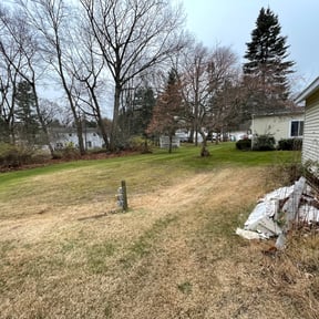 Leaf Removal by Dave&#039;s handyman services reviewed on September 8, 2025