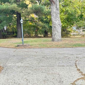 Leaf Removal by EDGED TO PERFECTION LLC reviewed on July 23, 2026