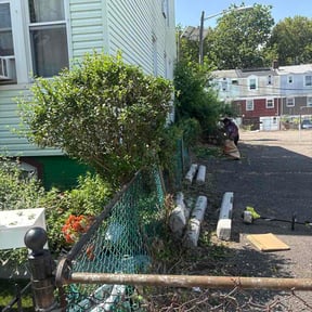 Bush Trimming by ProActive reviewed on August 17, 2026