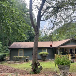 Bush Trimming by Paul's lawn mowing and more reviewed on November 21, 2025