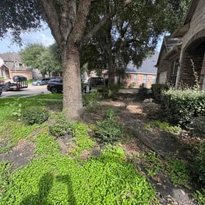 Bush Trimming by General Home Maintenance LLC. reviewed on June 10, 2026