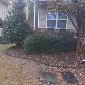 Bush Trimming by Green coqui lawn services reviewed on October 19, 2025