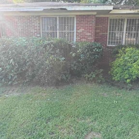 Bush Trimming by Ecoluxe Landscape &amp; Design reviewed on September 2, 2026