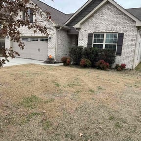 Bush Trimming by Brevard Grass Choppers reviewed on December 18, 2025