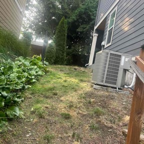 Bush Trimming by Grasman LLC reviewed on October 27, 2021