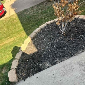 Flower Bed Weeding by GreenMan Lawns reviewed on November 27, 2025