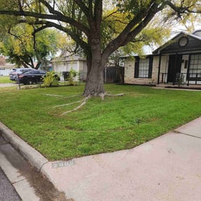 Leaf Removal by Yardwork Plus / We Mow Grass, inc reviewed on September 29, 2025