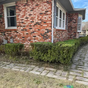 Bush Trimming by Together Family Landscapes LLC reviewed on February 21, 2026