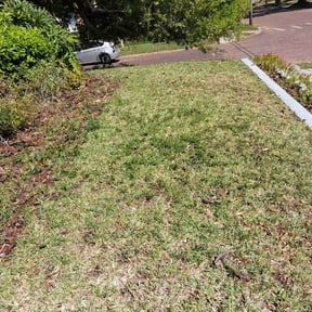 Leaf Removal by WC Inc reviewed on September 7, 2025