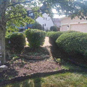 Bush Trimming by P&amp;D Landscaping reviewed on July 22, 2026