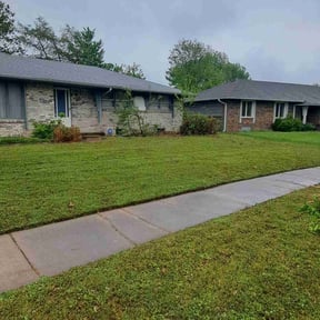 Bush Trimming by Jtdps lawn services reviewed on August 20, 2025