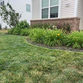 yard maintenance by Gardenbrooke Lawns reviewed on August 21, 2025
