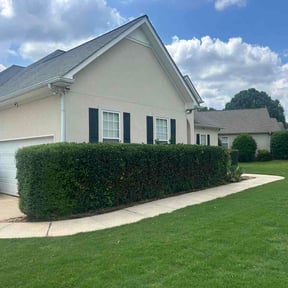 Bush Trimming by CEA Fresh Cuts Lawn Care LLC reviewed on June 11, 2026