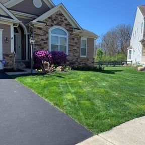 yard care by Edgar Yanez Services reviewed on December 5, 2025