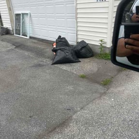 Leaf Removal by lawnstarter reviewed on September 13, 2026