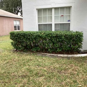 Bush Trimming by L&J Professionals reviewed on August 15, 2025