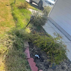 Flower Bed Weeding by Poppa Green Services LLC reviewed on August 27, 2026