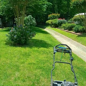 turf maintenance by LIGHTNING LANDSCAPING & LAND MANAGEMENT reviewed on August 15, 2025