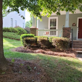 Bush Trimming by Lexi's Landscaping reviewed on August 15, 2025