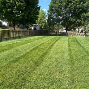 residential landscaping by Top Lawn Companies, LLC reviewed on November 19, 2025