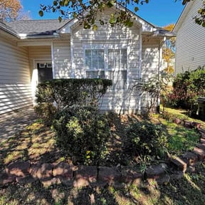 Bush Trimming by WhackyWeedWhackers Of Paradise reviewed on August 2, 2024