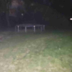 Leaf Removal by Priority landscaping reviewed on October 20, 2025